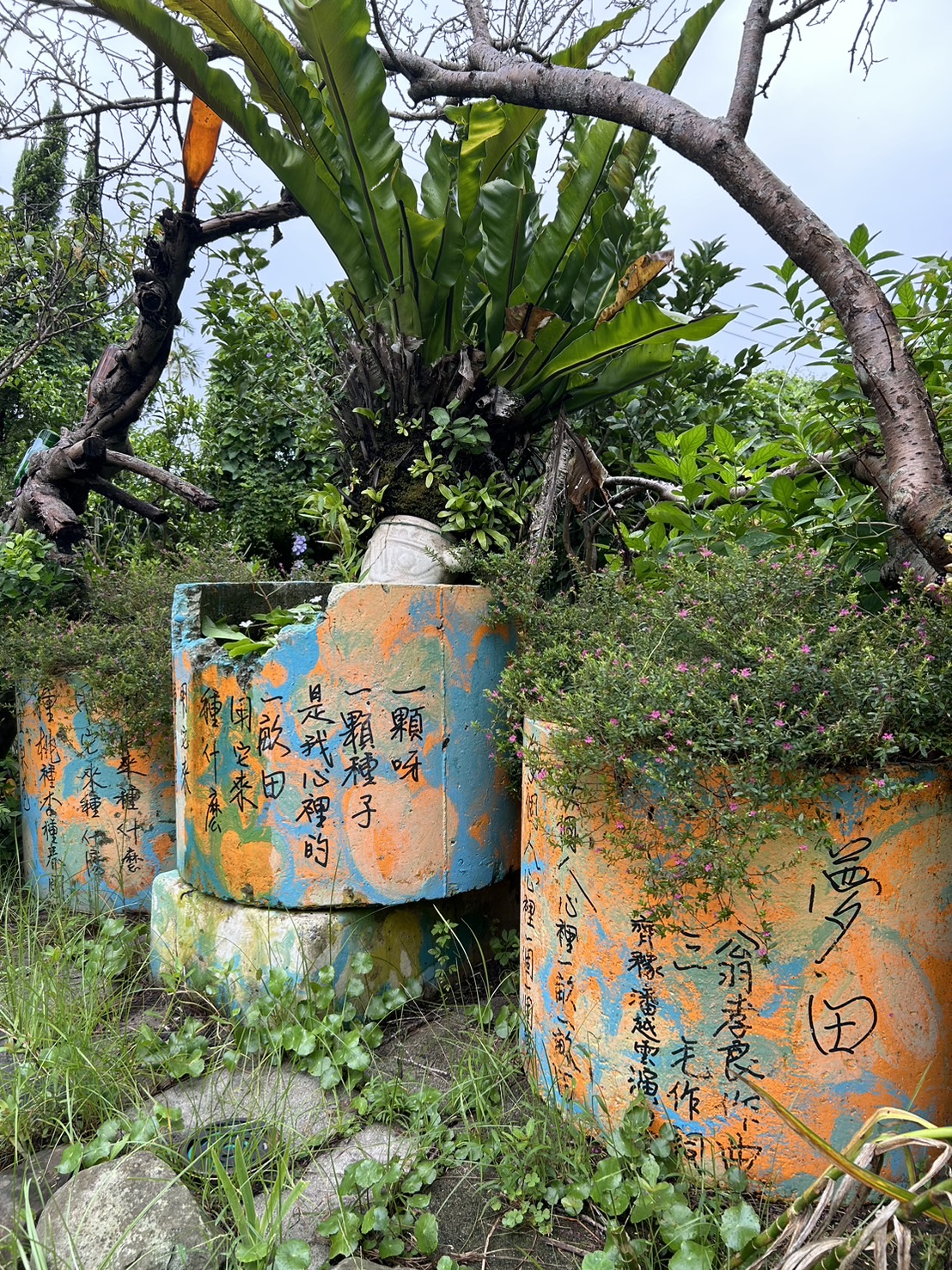夢田窯饗