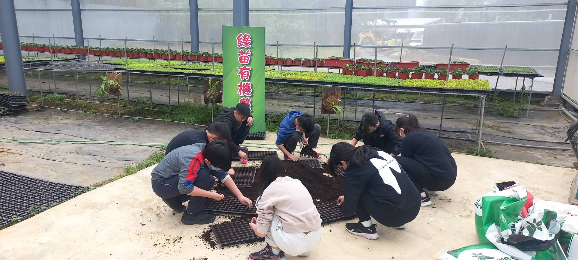 綠苗有機農場